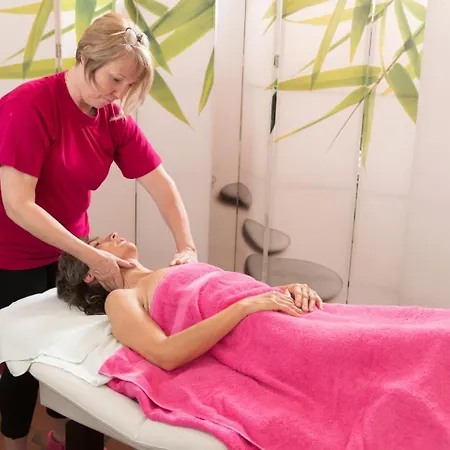 Hotel Bains Sarrailh Dax