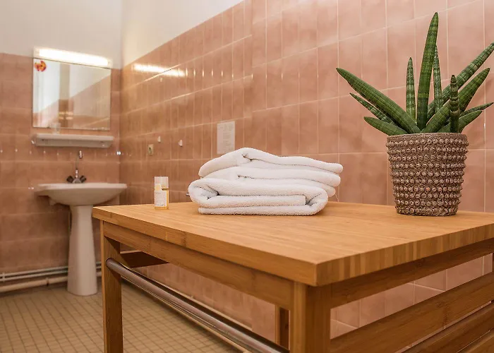 Bains Sarrailh Hotel Dax